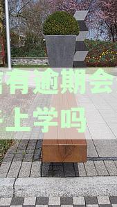 征信如果有逾期了会不会影响孩子考大学及政审、升学就业？