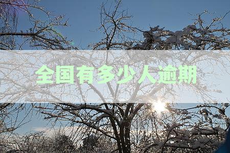全国有多少人逾期