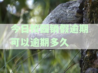 今日校园销假逾期,后来又销了导员看得到吗-今日校园销假逾期还可以怎样销假