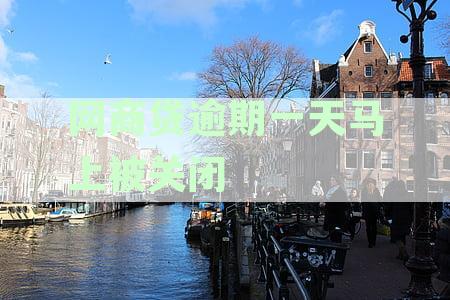 逾期仅一天，网商贷额度被关闭？恢复开通指南及最新资讯网活动汇总