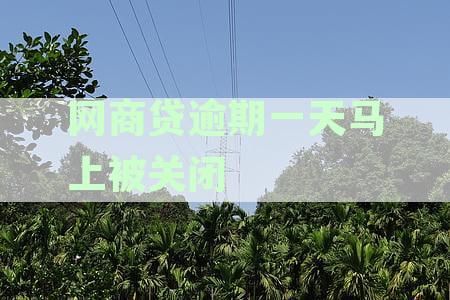 网商贷逾期一天马上被关闭