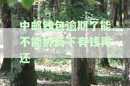 中邮钱包逾期还款攻略：如何与银行协商消费本金还款