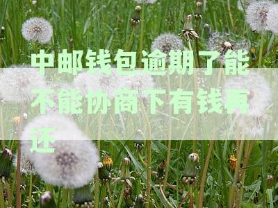 中邮钱包逾期亲身经历：逾期的后果、催收流程与司法程序启动时限