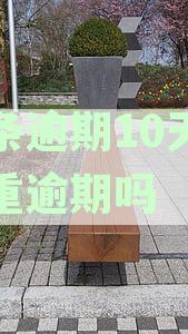 逾期10天后果是什么？会对征信有什么影响？