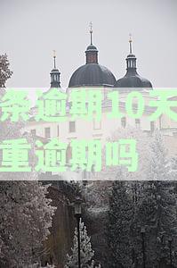 白条逾期10天算严重逾期吗