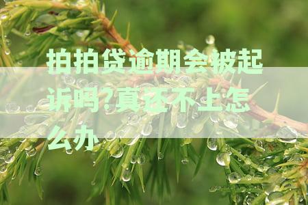 拍拍贷逾期会被起诉吗真还不上怎么办会面临坐牢吗？一百多天逾期的后果