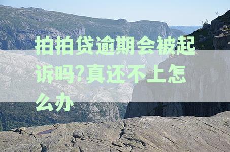 拍拍贷逾期还款难题：如何避免起诉并联系客服协商处理？
