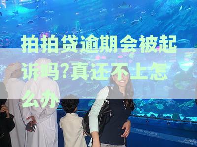拍拍贷逾期会被起诉吗真还不上怎么办贴吧论坛？