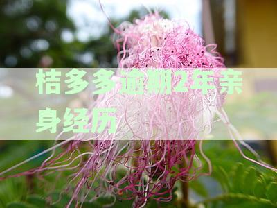 如何进行桔多多逾期协商还款：详细步骤与技巧