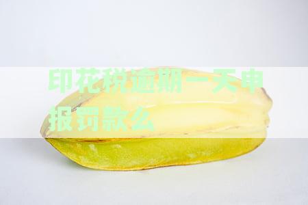 印花税逾期一天还能网上申报吗？如何操作？是否会罚款？