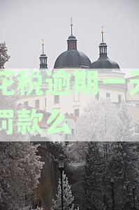 逾期申报印花税的惩罚：纳税义务及罚款处罚全解析