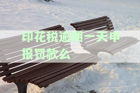 逾期申报印花税的处理办法：会计如何应对？