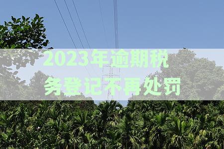 税务逾期登记如何处罚：企业、员工及处理方法全解析
