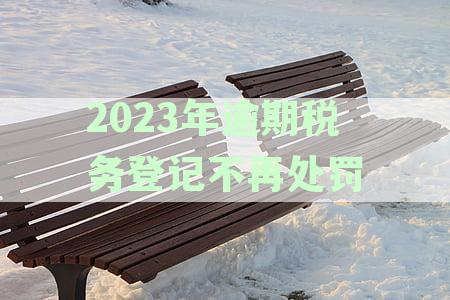 逾期办理税务登记的后果及应对措：工商个体税务申报处理全解析