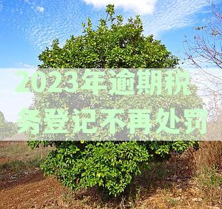 2020年纳税申报逾期处罚：怎么处理、税务标准及罚款细则一览