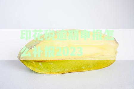 逾期申报2023年印花税，如何进行税务补报？