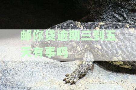 邮你贷逾期三到五天有事吗