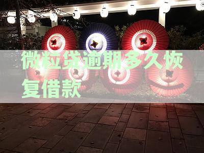 微粒贷逾期多久一次还清？如何避免坐牢风险？