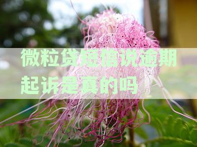 微粒贷短信说逾期起诉是真的吗？收到120天逾期起诉短信，真实性如何判断？