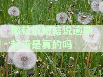 微粒贷逾期120天，今天收到法院起诉短信，如何处理？资讯解答怎么办