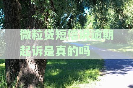 微粒贷逾期短信提醒：如何处理还款和催收通知？