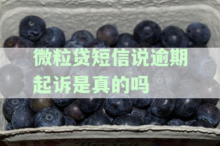 微粒贷短信说逾期起诉是真的吗