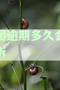 美团逾期多久会被起诉