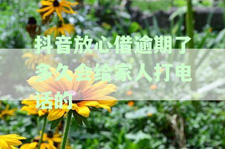 放心借逾期一年亲身经历：真实故事揭示借款风险及应对策略
