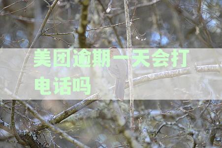 美团逾期一天还款是否会影响个人征信？