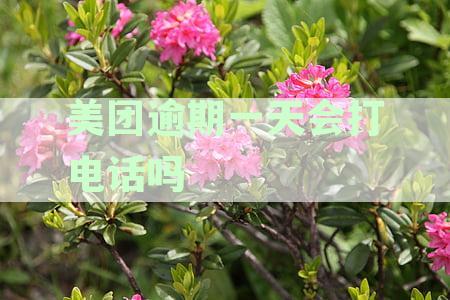 美团逾期一天的影响及解决方法：如何避免逾期产生的费用和信用损害？