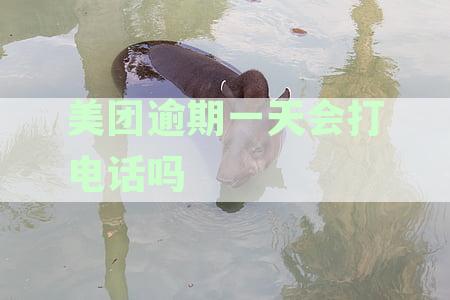 美团逾期一天会打电话吗