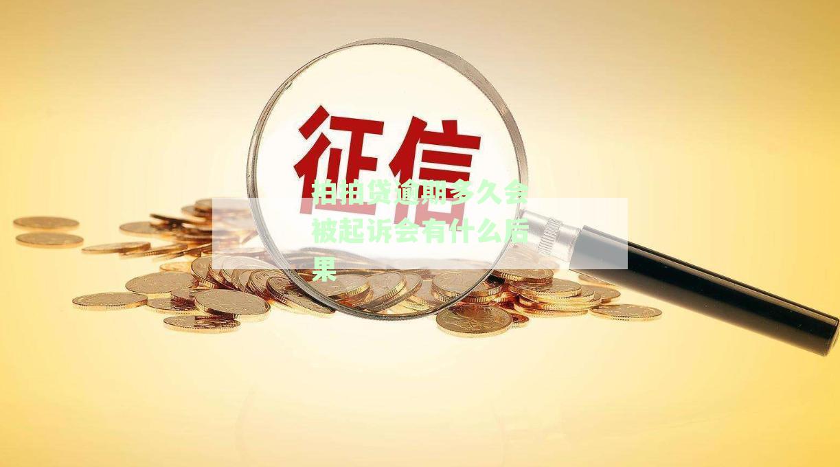 拍拍贷逾期还款期限及可能的法律后果：用户必知的关键信息