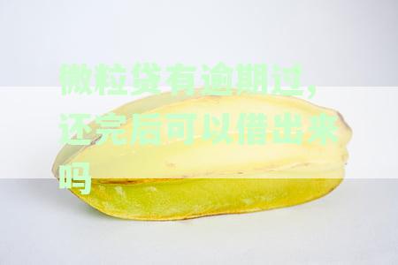 微粒贷有逾期过,还完后可以借出来吗