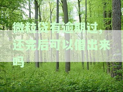 微粒贷有逾期过,还完后可以借出来吗