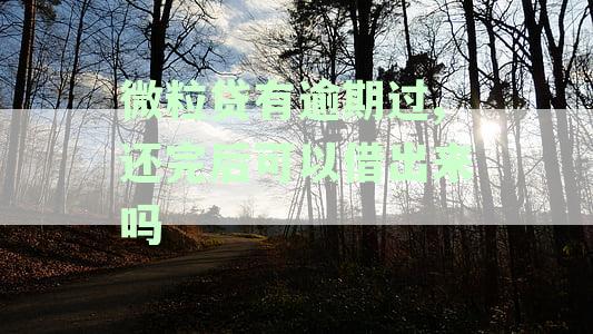 微粒贷有逾期过,还完后可以借出来吗