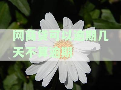 网商贷可以几天还款吗？