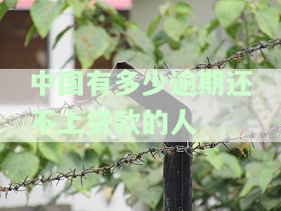 中国有多少逾期还不上贷款的人