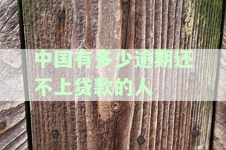 中国有多少逾期还不上贷款的人