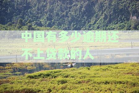 2020年逾期未还款人数统计及相关问题解答：了解当前欠款现状及应对措