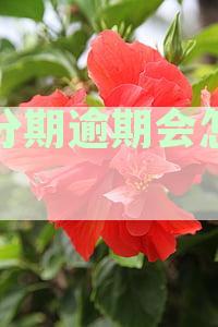 逾期有事吗：后果、影响、征信及后续借款问题解答