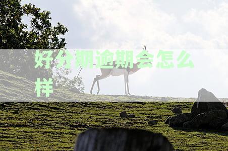 逾期还款策略：如何应对逾期后才还款的情况
