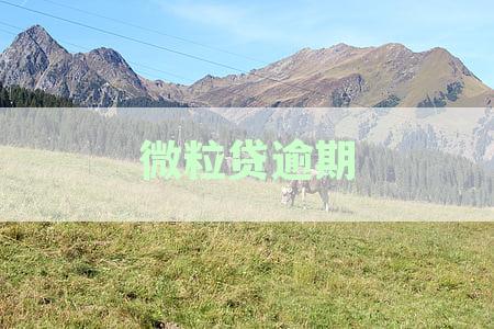 微粒贷逾期4天催收全额结清并约谈家人朋友，真的吗？