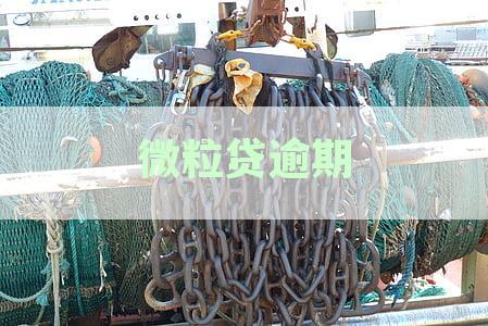 微粒贷逾期一个月的后果：影响个人信用、罚息累积及可能面临的法律问题