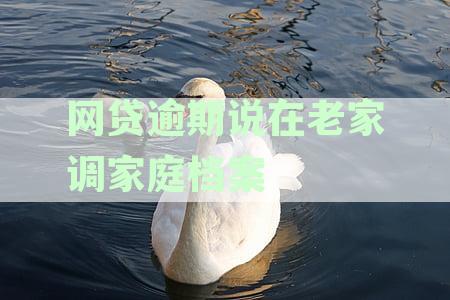 新网贷逾期影响社保交纳？老家调查家庭档案引发疑问