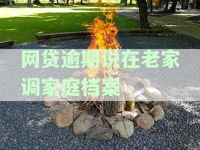 如何处理网贷逾期问题：老家调查家庭档案及解决方法全面解析