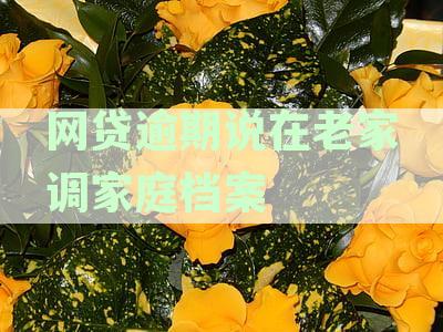 网贷逾期说在老家调家庭档案还说了村委会人的名字如何处理？