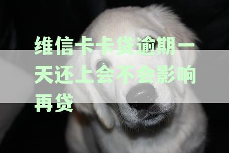 新逾期一天还款的维信卡卡贷是否会影响再次贷款？解答常见疑问并提供建议