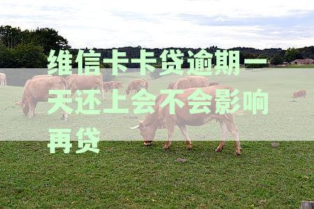 维信卡卡贷逾期一天还上会不会影响再贷