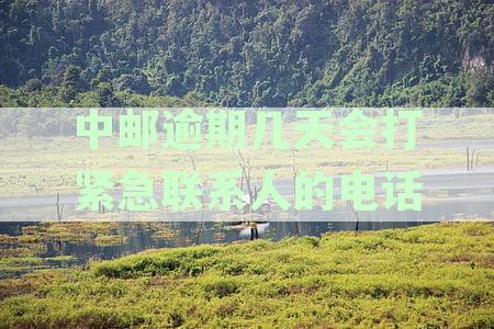 中邮逾期几天会打紧急联系人的电话