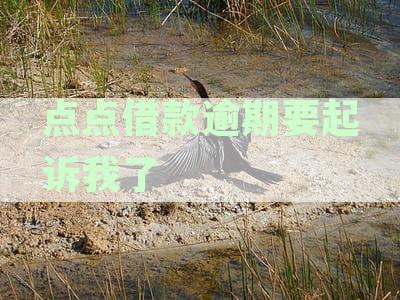 标题建议：点点借款逾期后果全面解析：是否会被起诉？如何避免逾期影响？